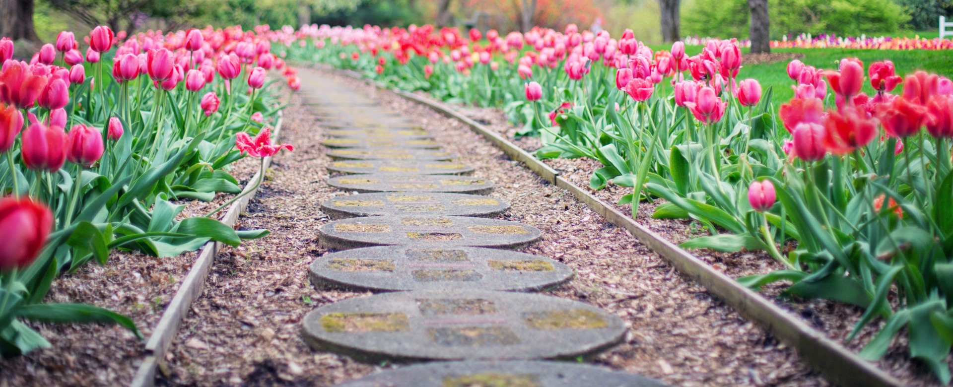 Beautifully tailored paths